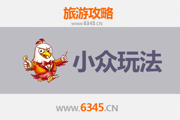 儋州王五镇小众探秘：解锁原生态海南乡村风情